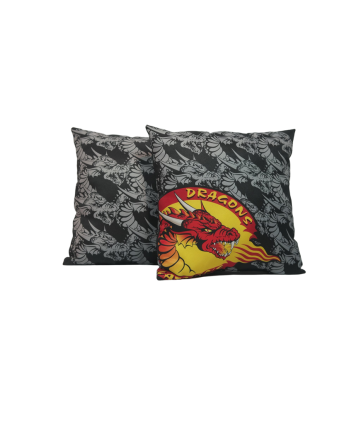 2023 COUSSIN DES DRAGONS CATALANS NOIR ET GRIS