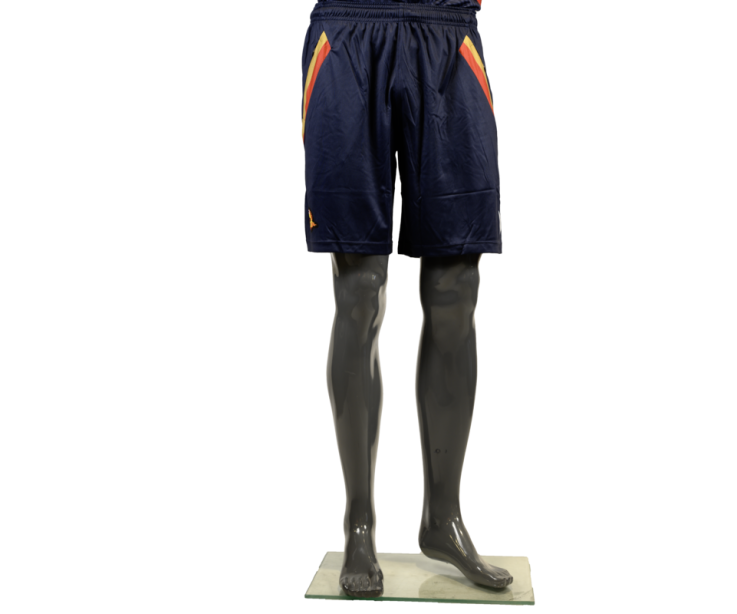 2024 SHORT D'ENTRAINEMENT NAVY