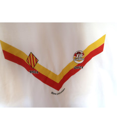 T- shirt XIII Catalan 90 ans