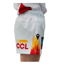 copy of