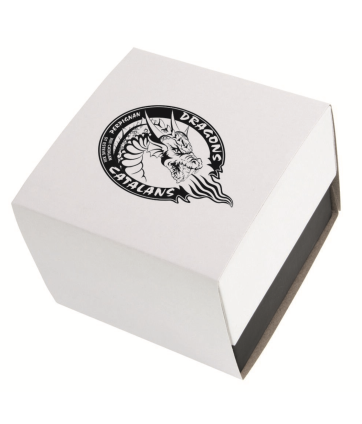 MONTRE SILVER