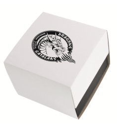 MONTRE SILVER