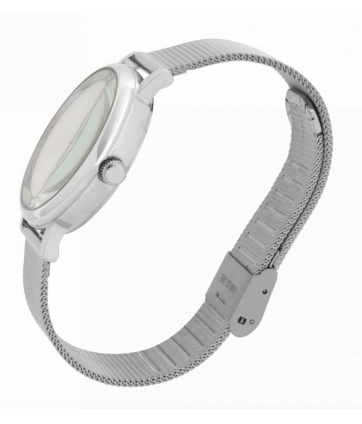 MONTRE SILVER