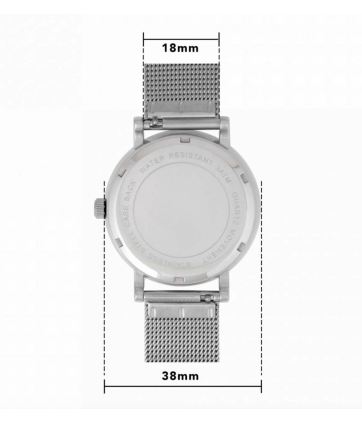 MONTRE SILVER