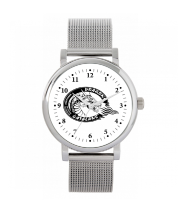MONTRE SILVER