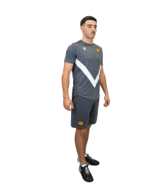2026 T SHIRT WISP GRIS ET BLANC