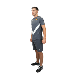 2026 T SHIRT WISP GRIS ET BLANC