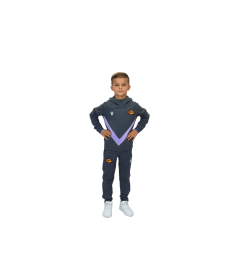 2026 HOODIE JR LILAS ET GRIS