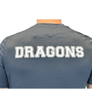 2026 T SHIRT WISP GRIS ET BLANC