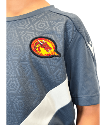 2026 T SHIRT WISP JR GRIS