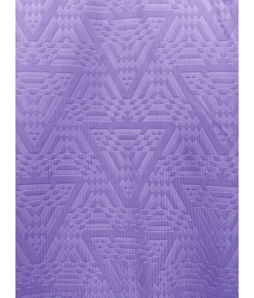 2026 T SHIRT WISP LILAS