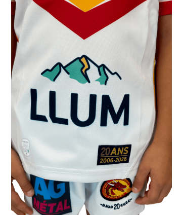 2026 MAILLOT DOMICILE REPLICA JR