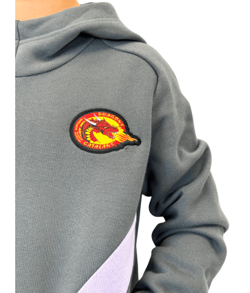 2026 HOODIE JR LILAS ET GRIS