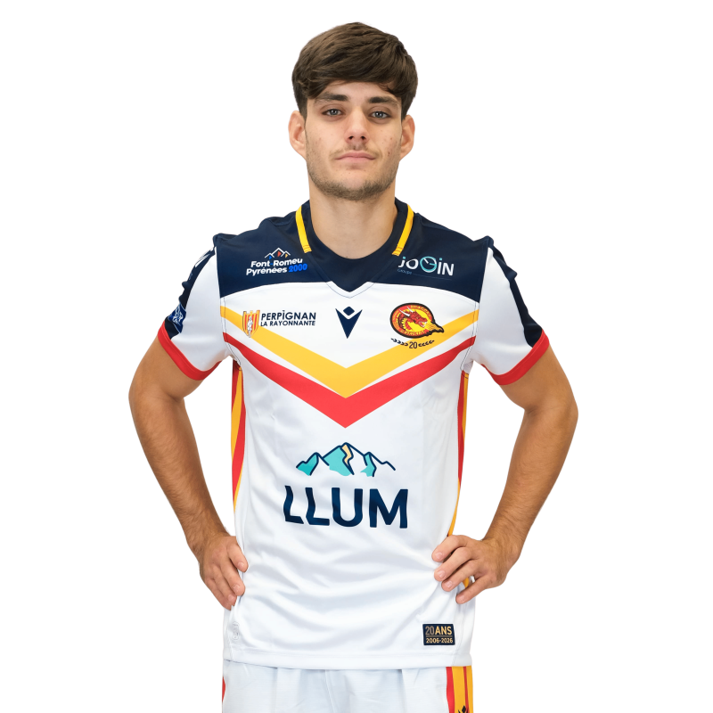 2026 MAILLOT DOMICILE REPLICA