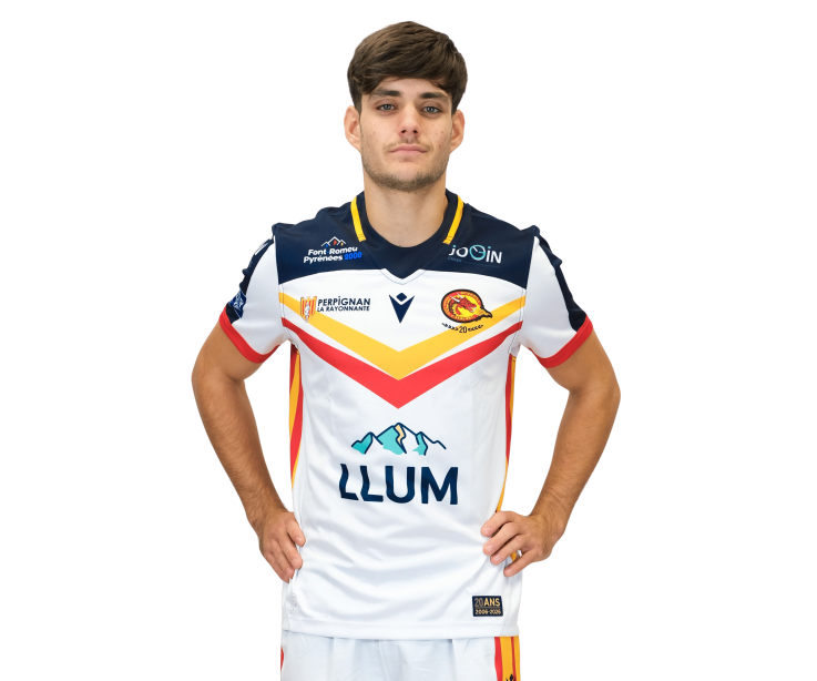 2026 MAILLOT DOMICILE REPLICA