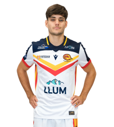 2026 MAILLOT DOMICILE REPLICA