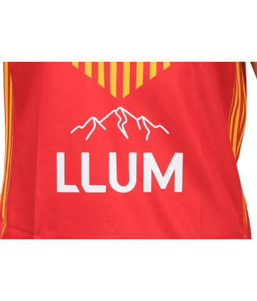 2026 MAILLOT EXTERIEUR REPLICA