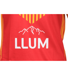 2026 MAILLOT EXTERIEUR REPLICA