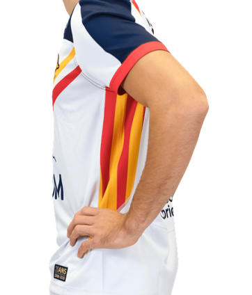 2026 MAILLOT DOMICILE REPLICA