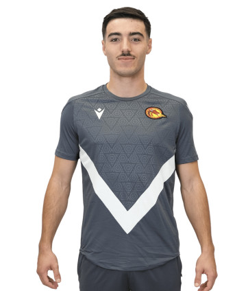 2026 T SHIRT WISP GRIS ET...