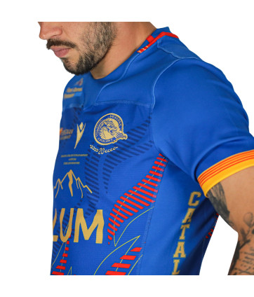 MAILLOT REPLICA PARIS COLLECTOR