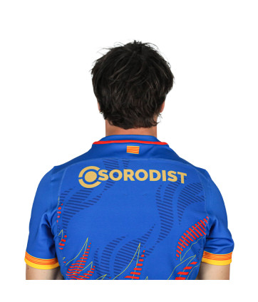 MAILLOT REPLICA PARIS COLLECTOR