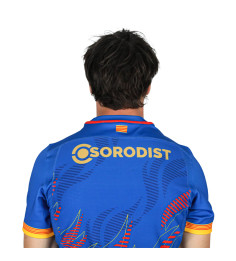 MAILLOT OFFICIEL PARIS COLLECTOR