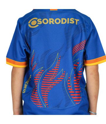 copy of MAILLOT OFFICIEL PARIS COLLECTOR