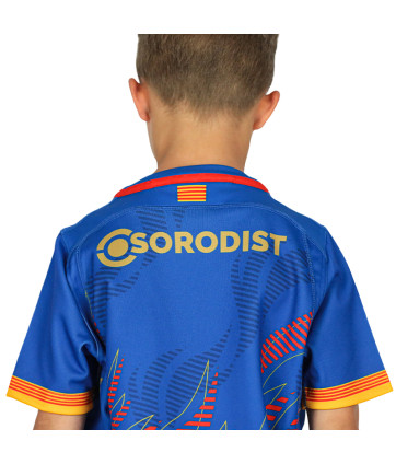 MAILLOT REPLICA PARIS COLLECTOR ENFANT