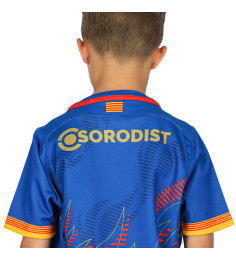 copy of MAILLOT OFFICIEL PARIS COLLECTOR