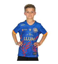 copy of MAILLOT OFFICIEL PARIS COLLECTOR