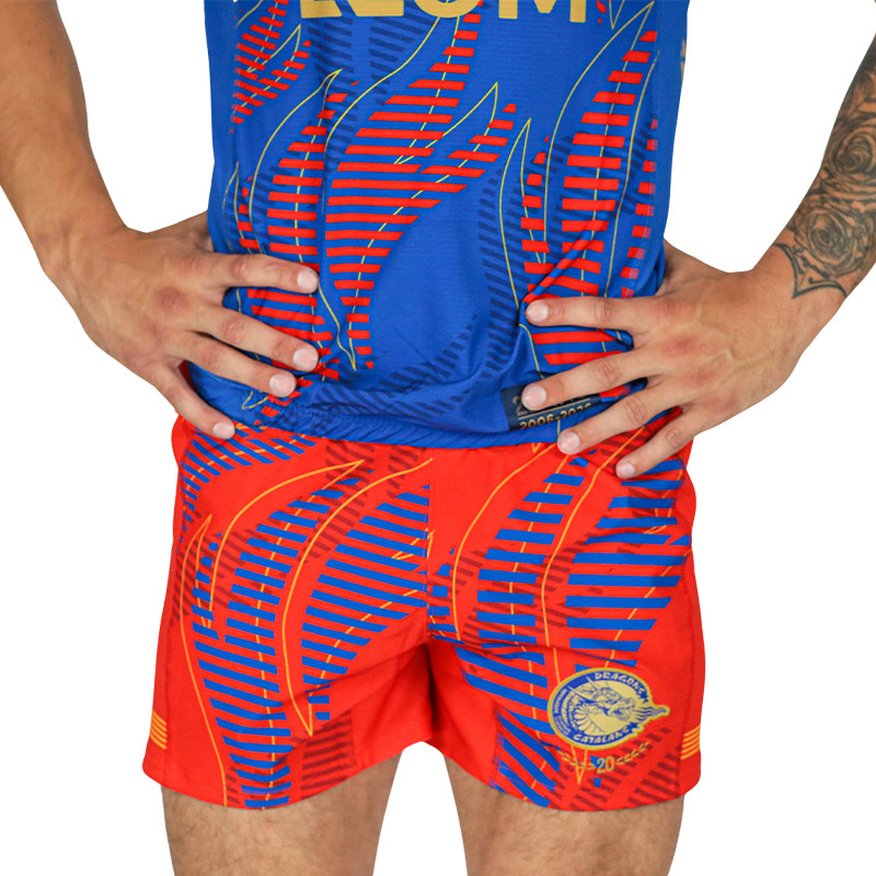 MAILLOT DE MATCH OFFICIEL PARIS COLLECTOR
